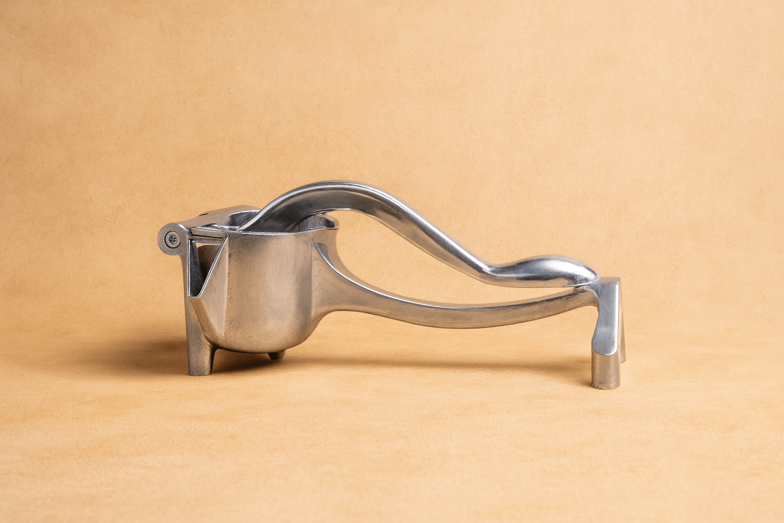Manual Juice Extractor