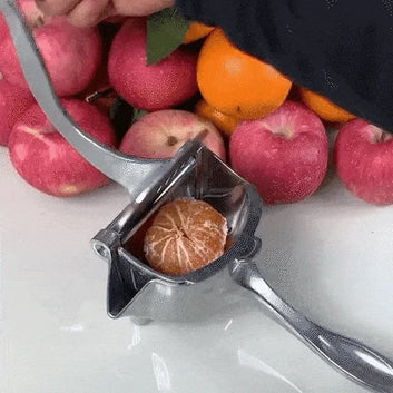 Manual Juice Extractor